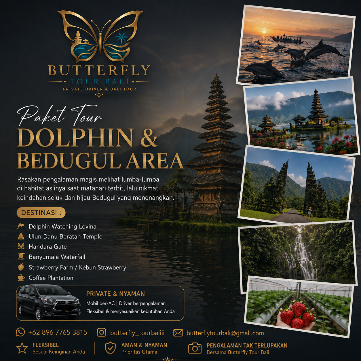 Paket tour Dolphin dan Bedugul Area